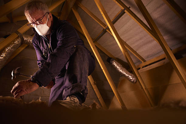Best Soundproof Insulation Installation  in Ada, OH